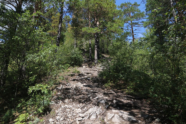 IMG 0406.jpg
