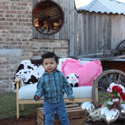 IMG-6082