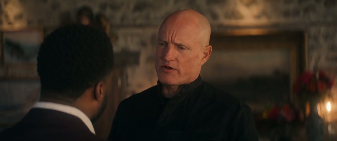 The Man from Toronto Screenshot