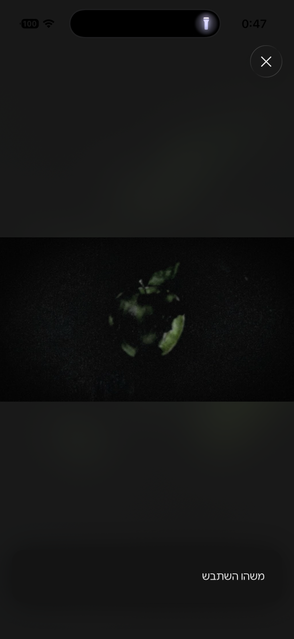 IMG 3543