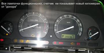 https://i.ibb.co/1GLkwCQb/w0em-A.jpg