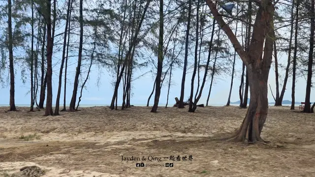 Pantai Mawar5.webp