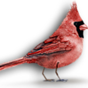 432