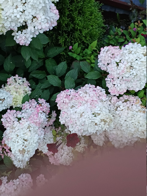 20260809 210415.jpg