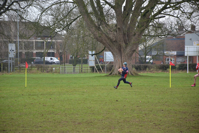 DSC 1420.jpg