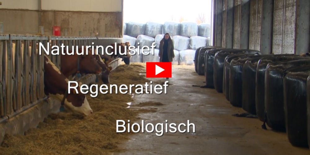 Kwantificeren van bodemkoolstof bij regeneratieve landbouw - Vleeskopenbijdeboer.nl