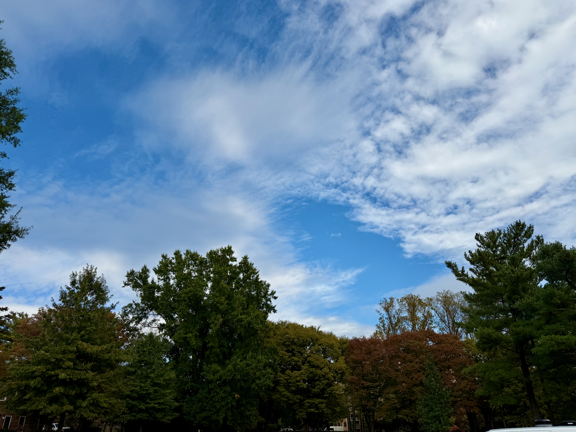 30+ лет в США. Заметки русско-американского пенсионера.