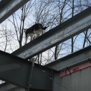 IMG-1290