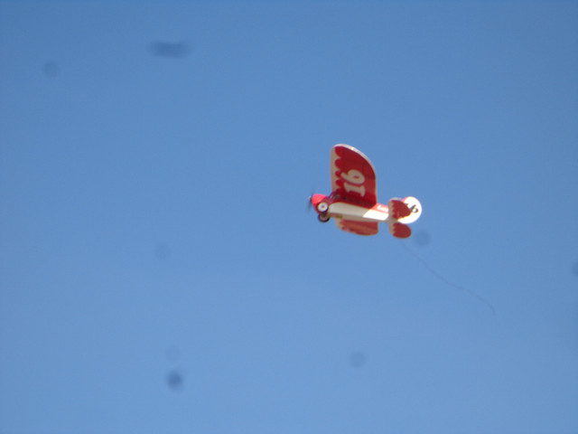DSC00569.jpg