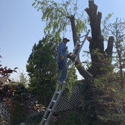 Motta Backyard (3)