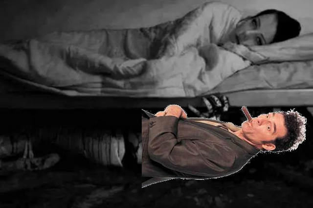 kramer-under-bed