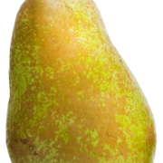 10-603219
