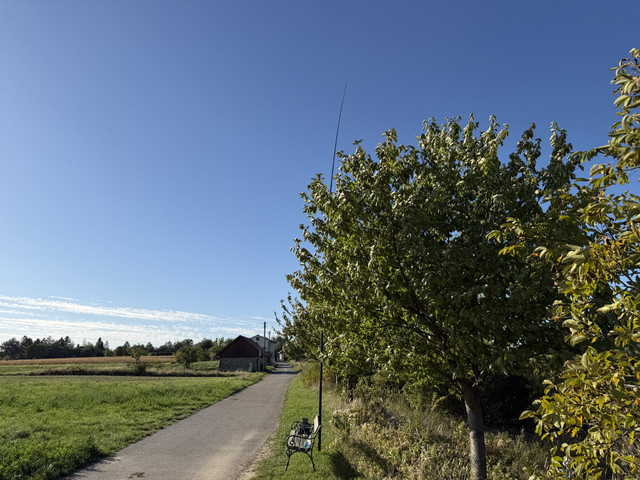 IMG-0365