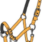 riimu9 7