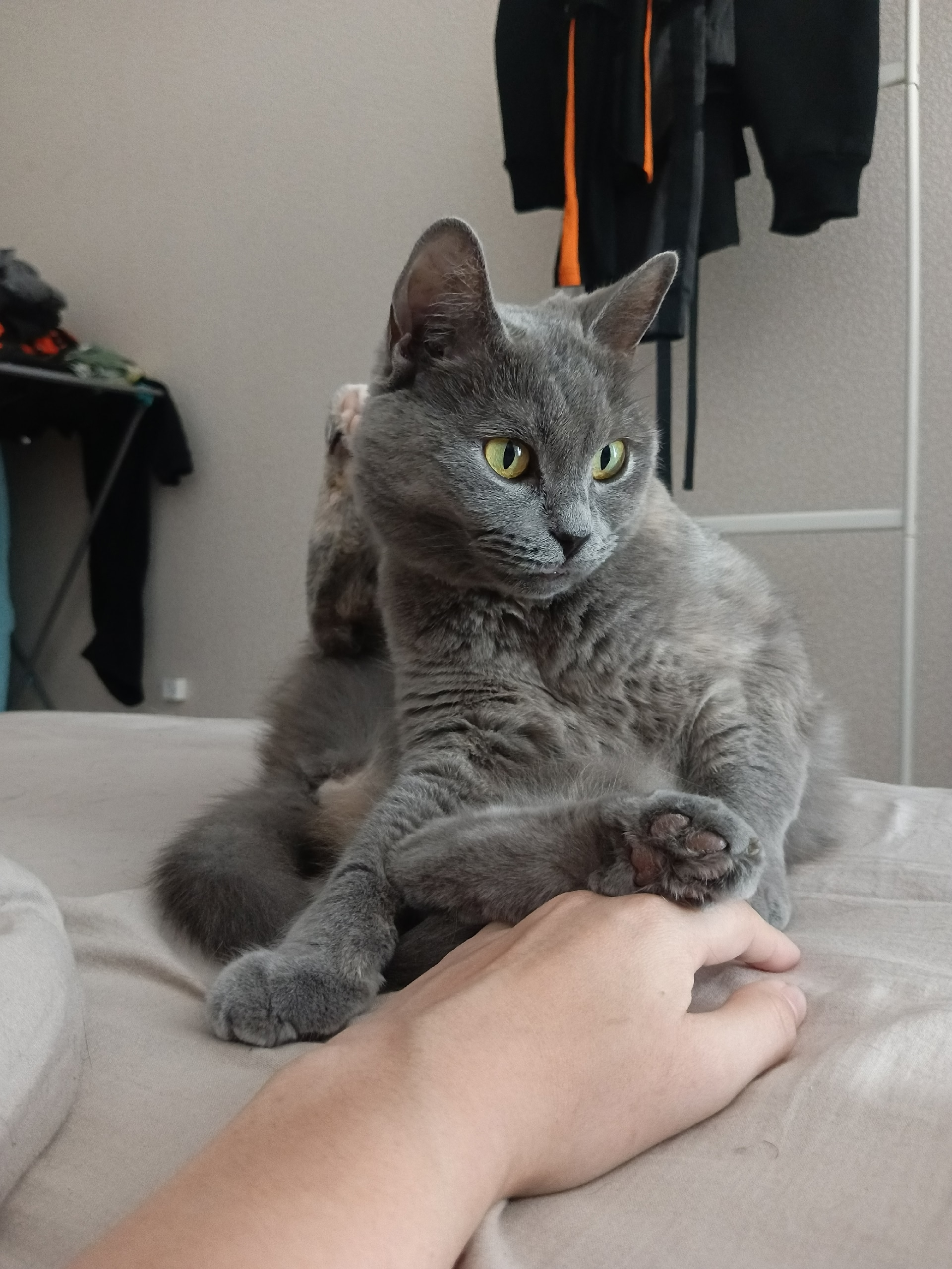 [Изображение: d49541dc06ca.png]
