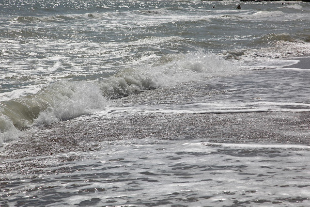 IMG-0658