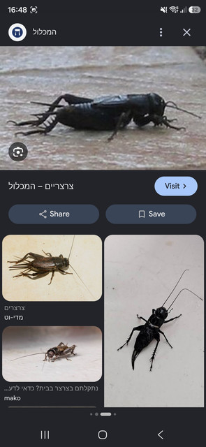 Screenshot 20261014 164807 Google