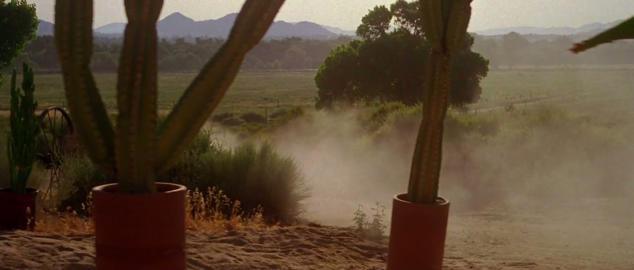 Kalifornia Screenshot