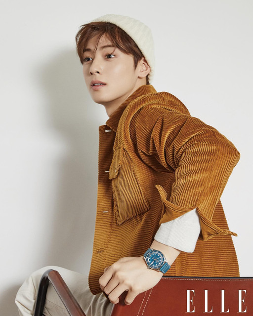 cha eun woo 1236038