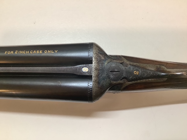 [Linked Image from i.ibb.co]