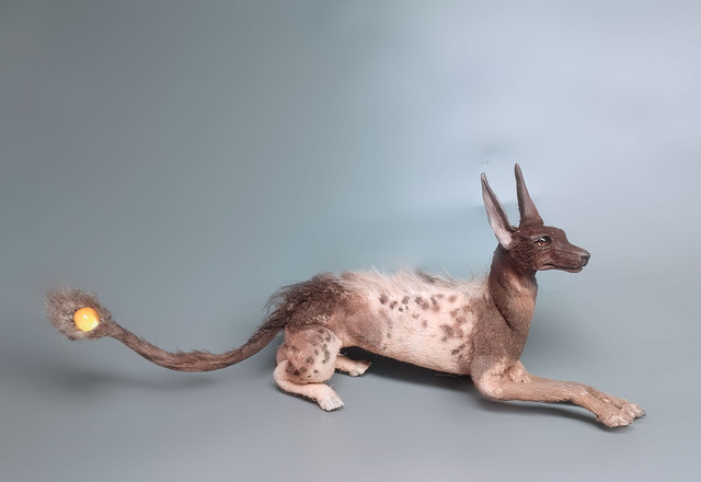 цз2.jpg