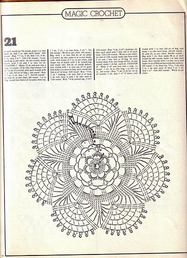 20b
