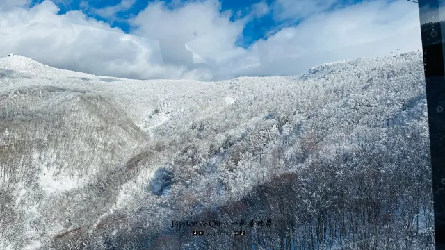 藏王树冰2.webp