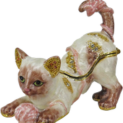 gatito