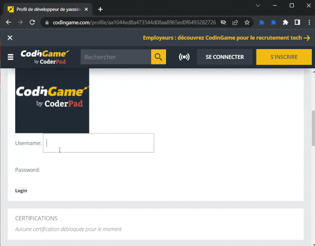 Still screenshot: fake login on public profile