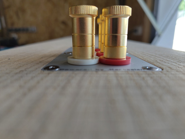 [Image: IMG-20240727-104453.jpg]