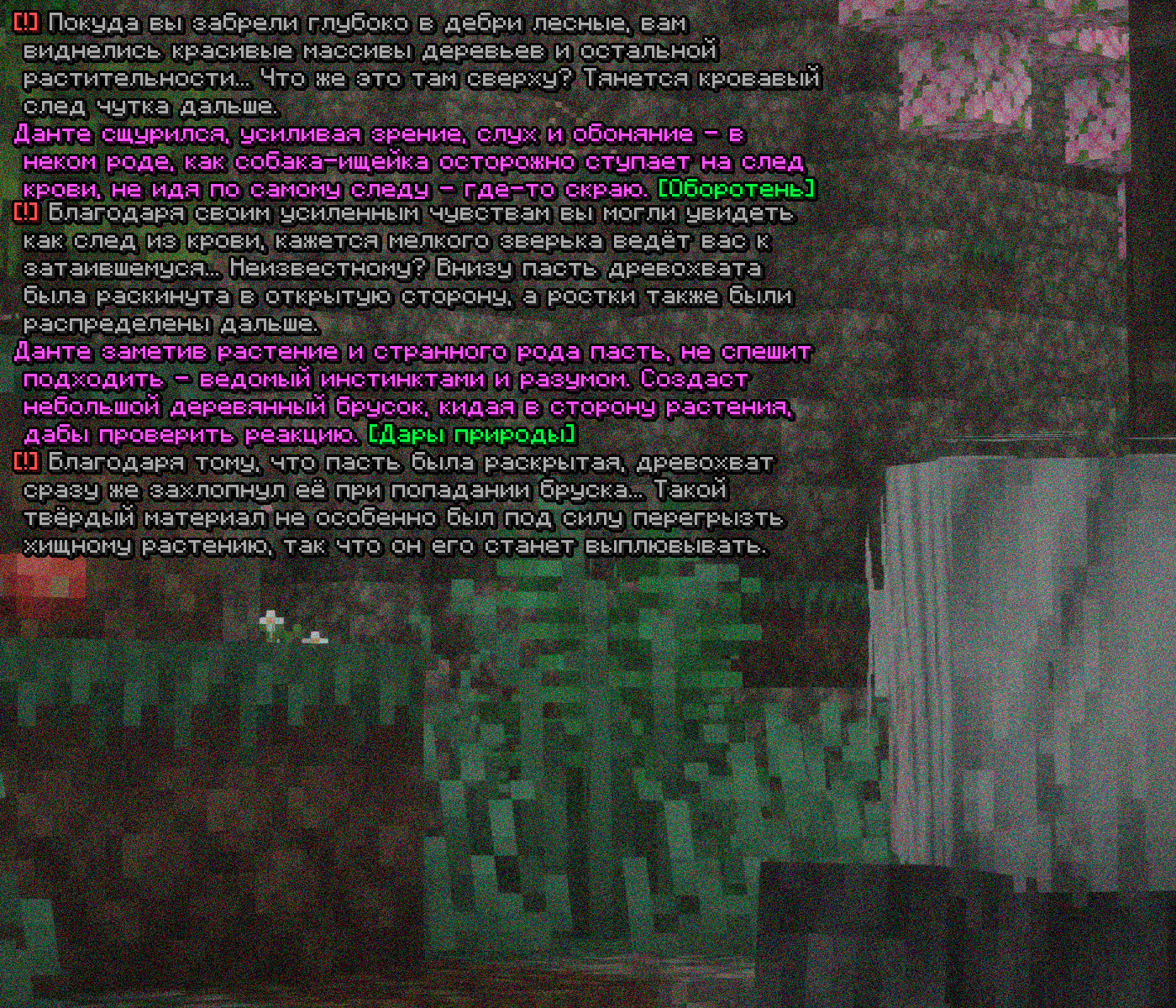 SS1.png