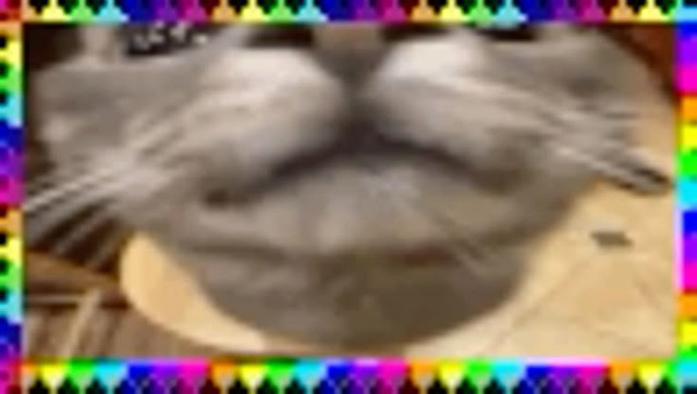 28d010aa997d7a4b767d678ddaf65eb3.jpg