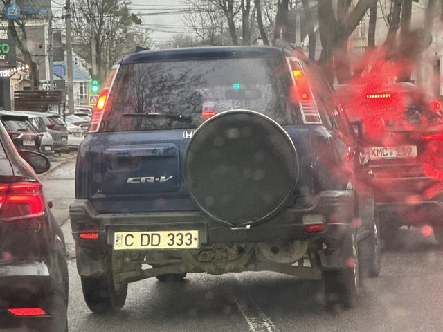 31640758.jpg