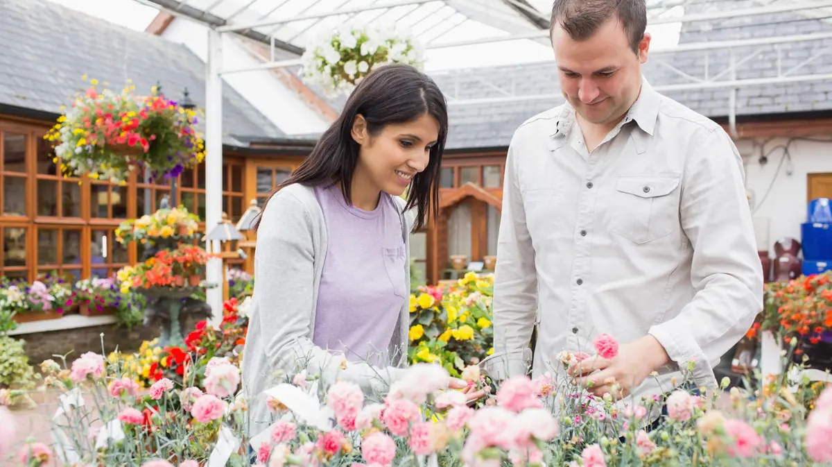 13 plante perene de plantat în august pentru o grădină de toamnă spectaculoasă