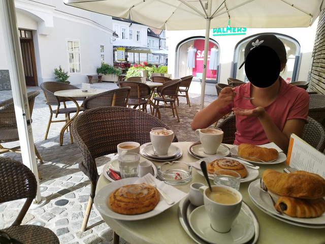 DIA 8. Melk a Kremns an der Donau. Sábado 8 de julio - Ruta en bici del Danubio- julio 2023 (1)