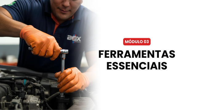 Módulo 6