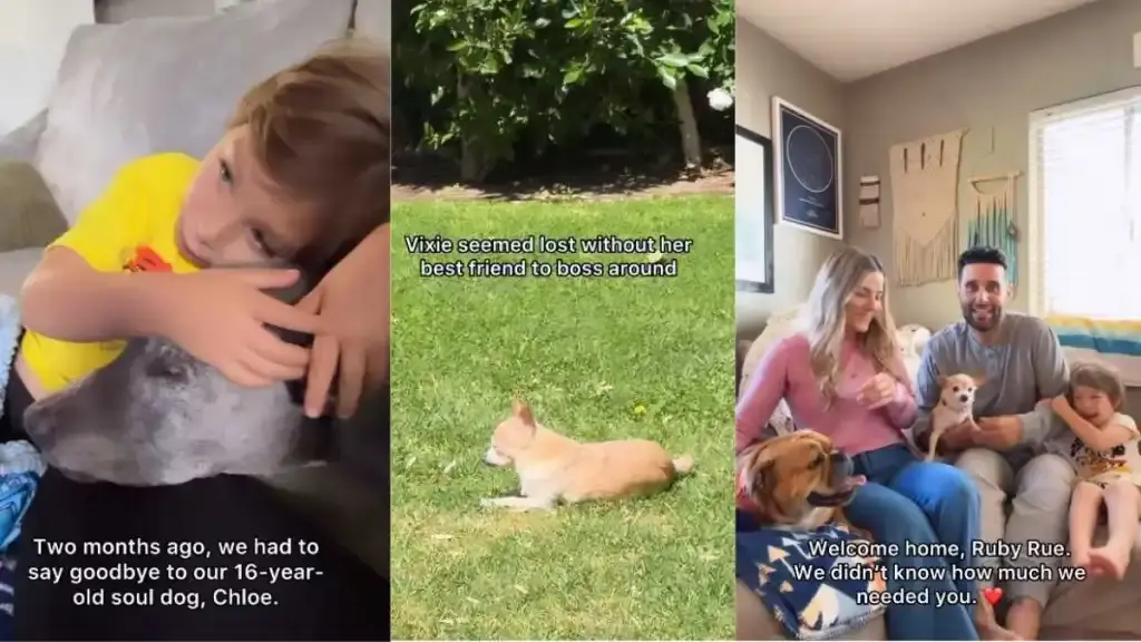 Family Finds New Joy After Losing Beloved Dog