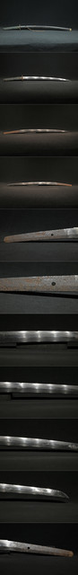 DSC3490