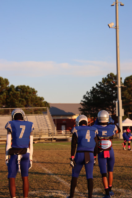 IMG-0088