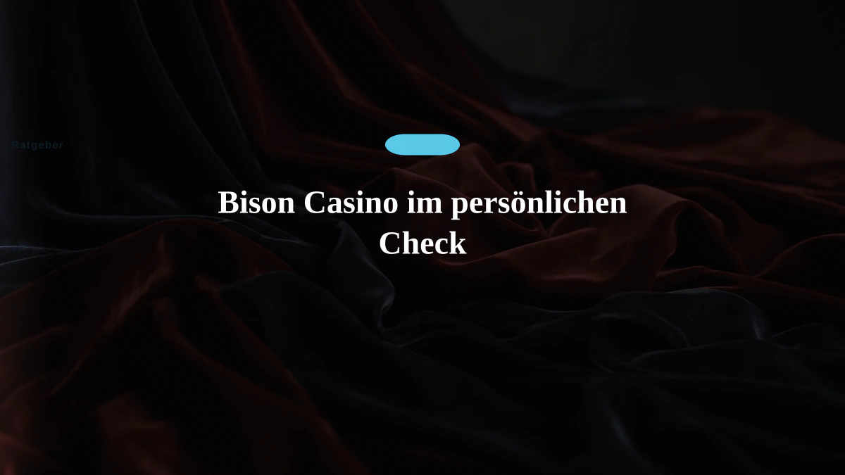 Bison Casino im persönlichen Check