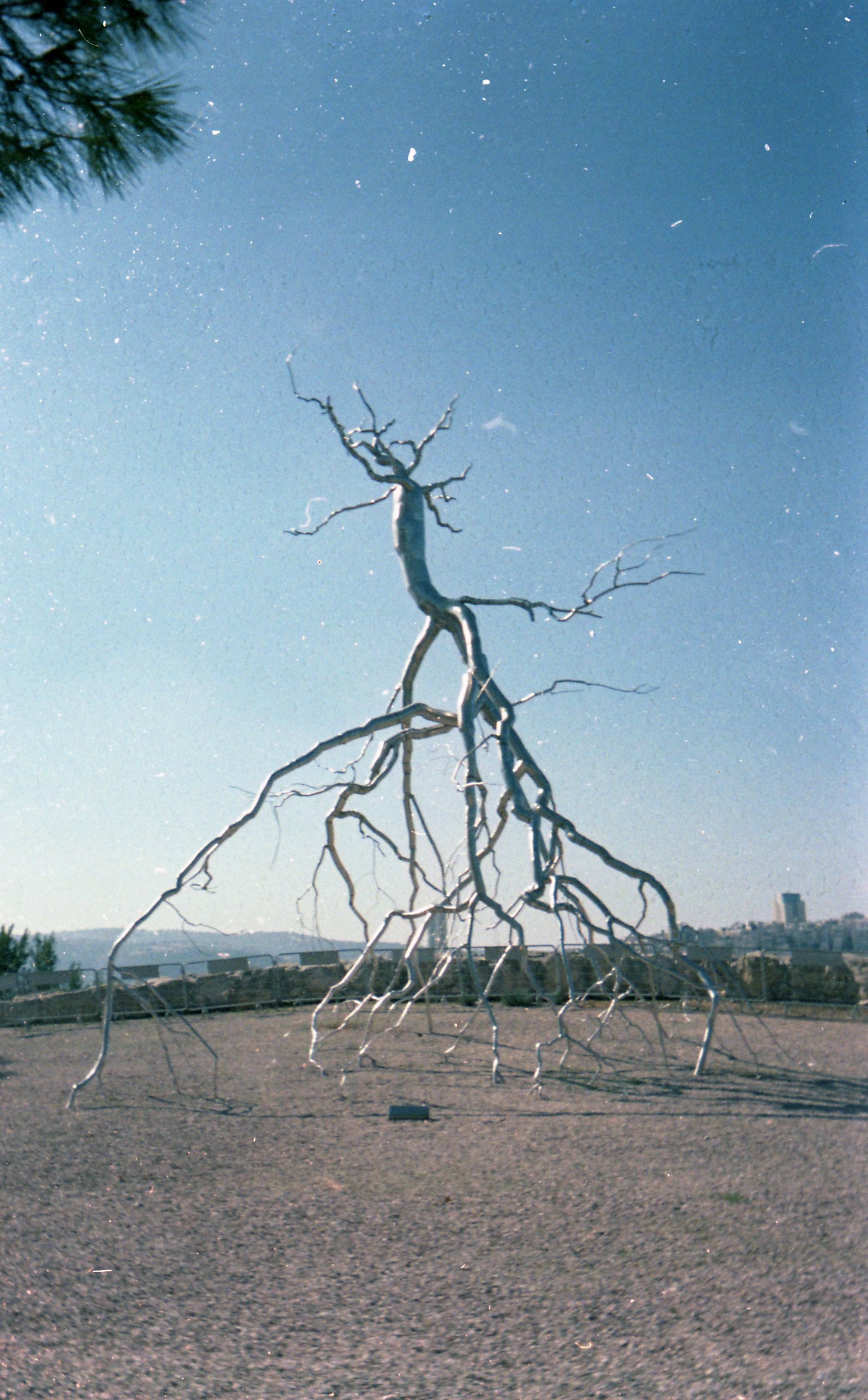 img723