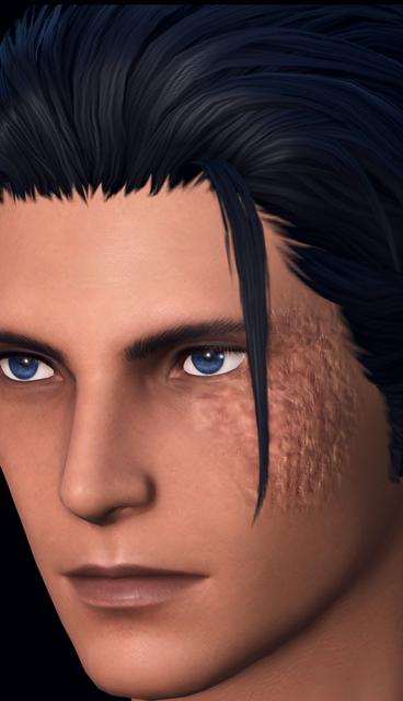 Face Scar30.png