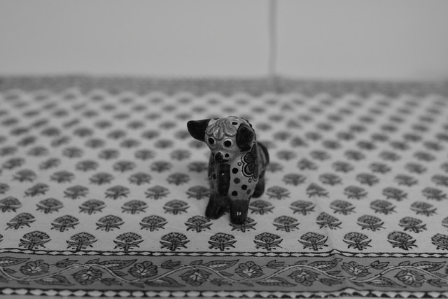 D75 9258.jpg