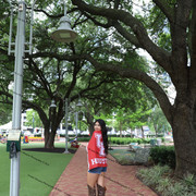 IMG 4971