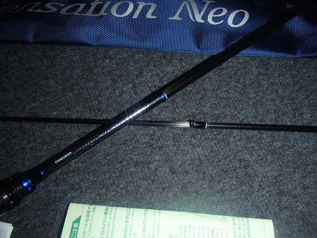 PA120018