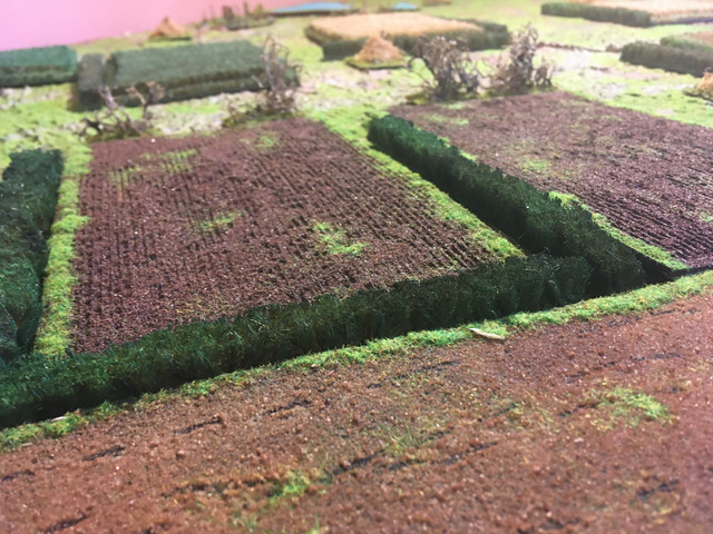 IMG-1907