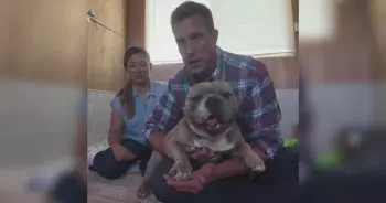 A Dog’s Fight for a Second Chance
