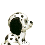 dogg