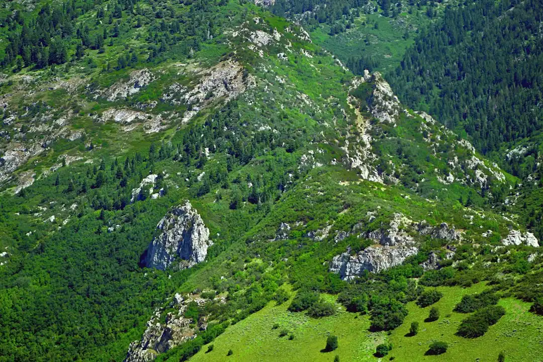 Creierul în priză: cum să-l oprim