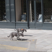 IMG 6965bis